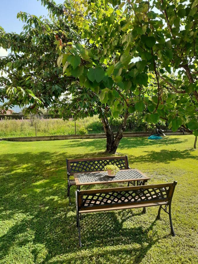Chrysafis Apartments Nea Vrasna Luaran gambar